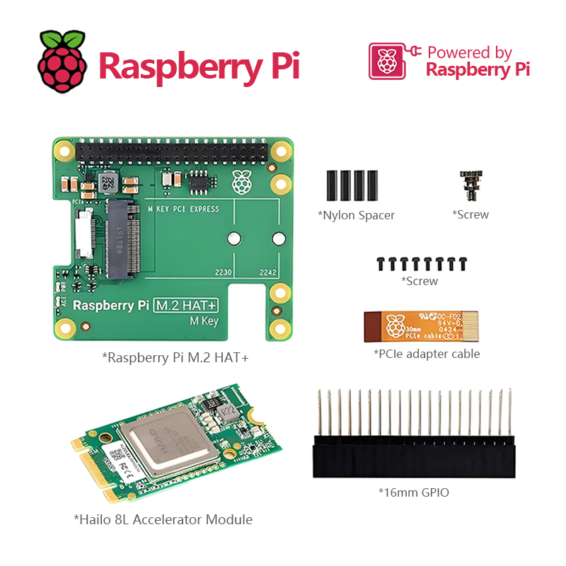 Il kit AI Raspberry Pi combina - Raspberry Pi Ai Kit Hailo-8L recensione e prezzo