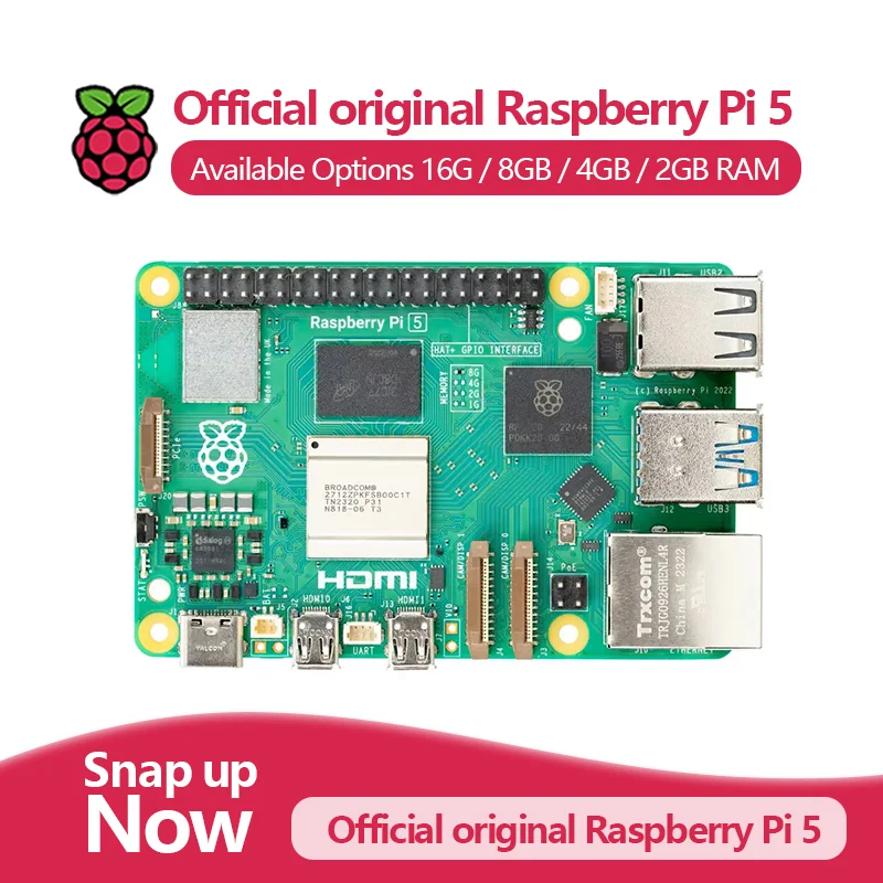 VivaOfficial Raspberry Pi 5 Or - Raspberry Pi 5 8Gb Board recensione e prezzo